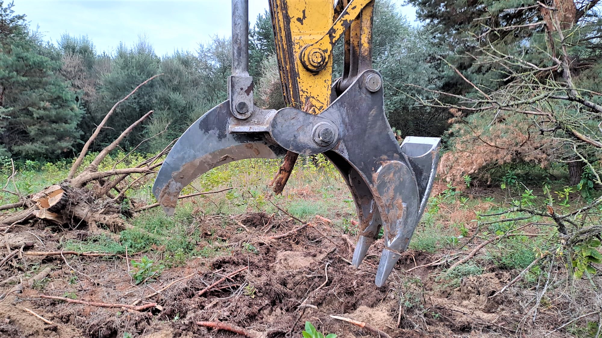 stump-splitter-9 A close-up view of the Modularis Drive Tree Stump Splitter mounted on an excavator. The sharp, curved blades are positioned near the ground, ready to split or remove tree stumps. The background consists of a natural setting with trees, bushes, and uprooted vegetation.